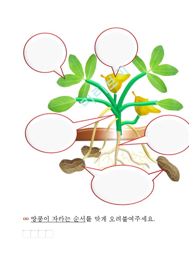 [땅콩]프로젝트 교육계획안.hwp